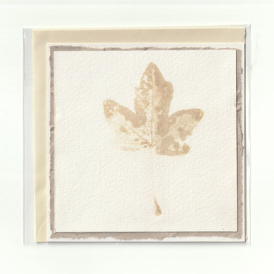 Handgemaakte kaart met ecoprint (3)