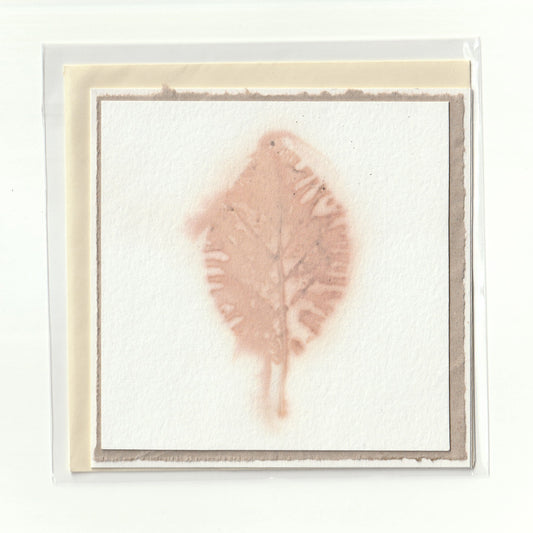 Handgemaakte kaart met ecoprint (6)