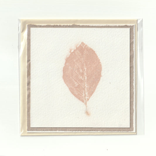 Handgemaakte kaart met ecoprint (9)
