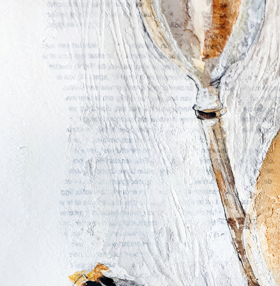 Korte cursus - Aquarel & Mixed Media (3 lessen)