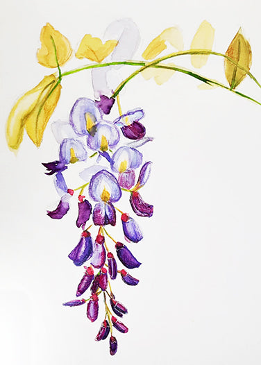 Korte cursus - Aquarel & Mixed Media (3 lessen) Siona Snel