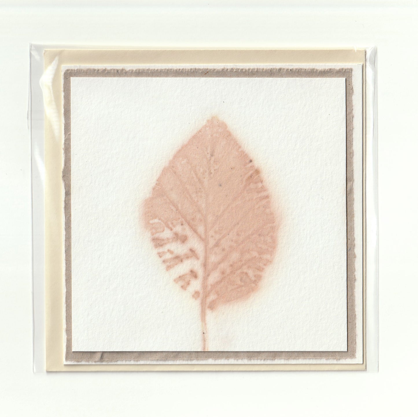 Handmade card with eco print (8) 