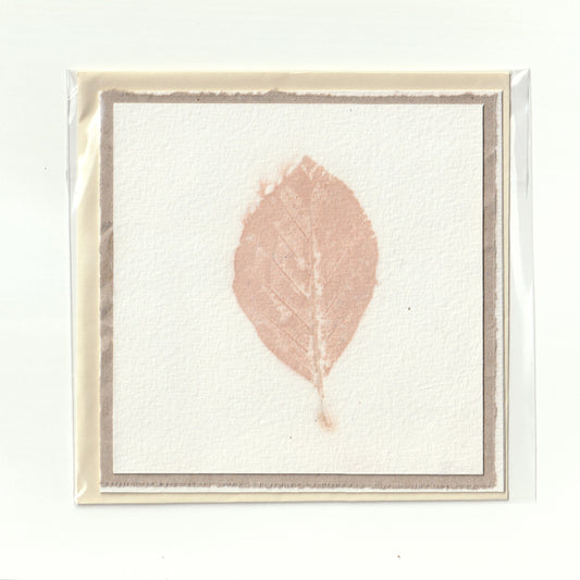Handmade card with eco print (9) 